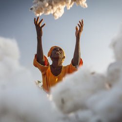 Buenas noticias para el Sello Fairtrade - Olokuti