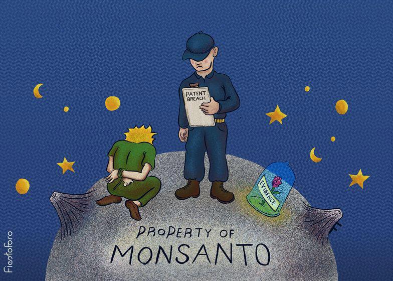 Hasta los sueños son propiedad de Monsanto - Olokuti