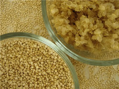 La quinoa o el superalimento - Olokuti