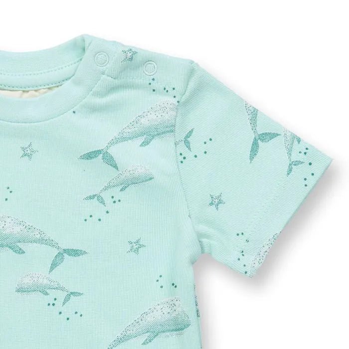 Body VARIN Ballenas Ice green - Olokuti