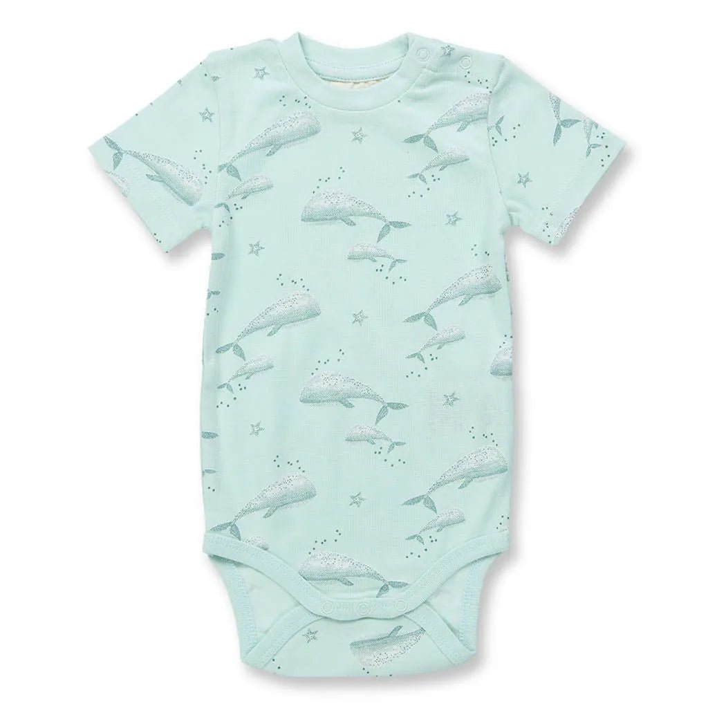 Body VARIN Ballenas Ice green - Olokuti