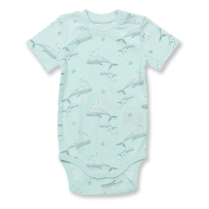 Body VARIN Ballenas Ice green - Olokuti