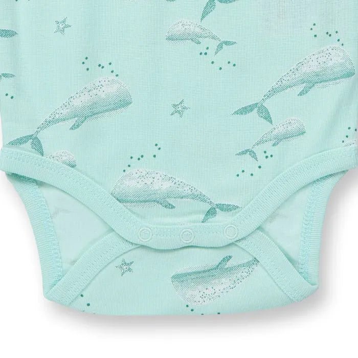 Body VARIN Ballenas Ice green - Olokuti