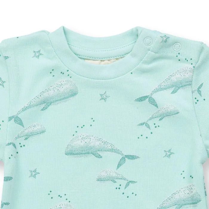 Body VARIN Ballenas Ice green - Olokuti