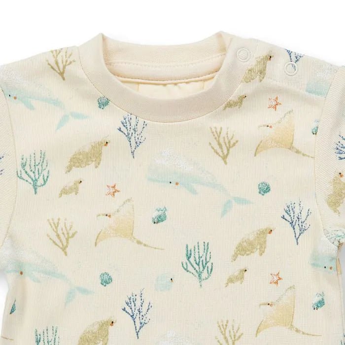 Body VARIN Sealife Eggshell - Olokuti