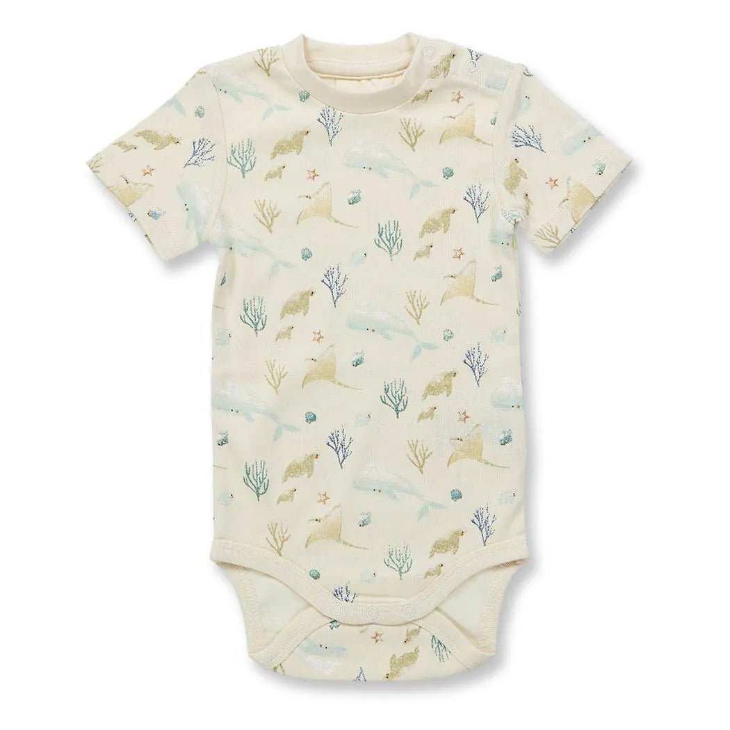 Body VARIN Sealife Eggshell - Olokuti