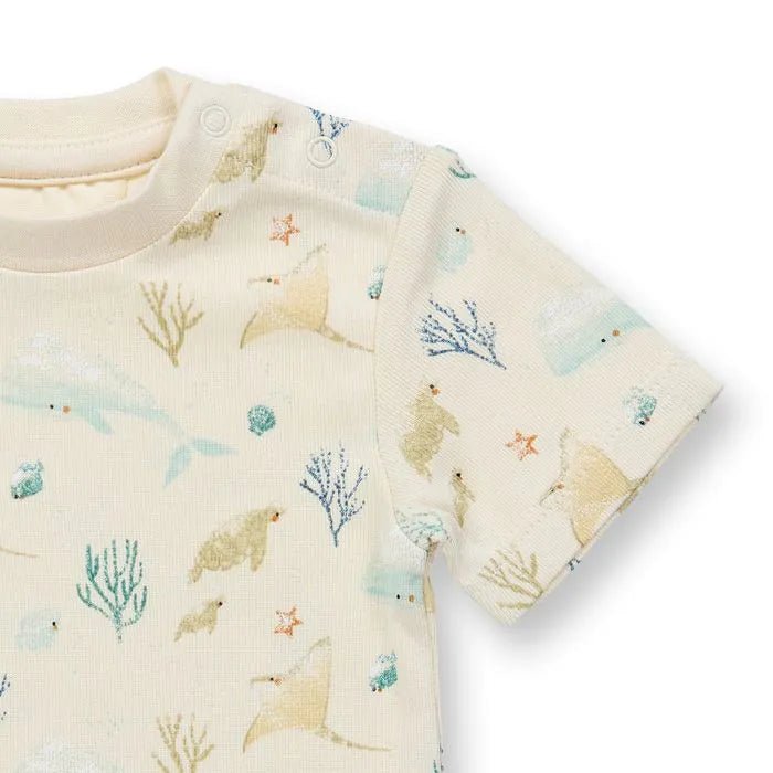 Body VARIN Sealife Eggshell - Olokuti