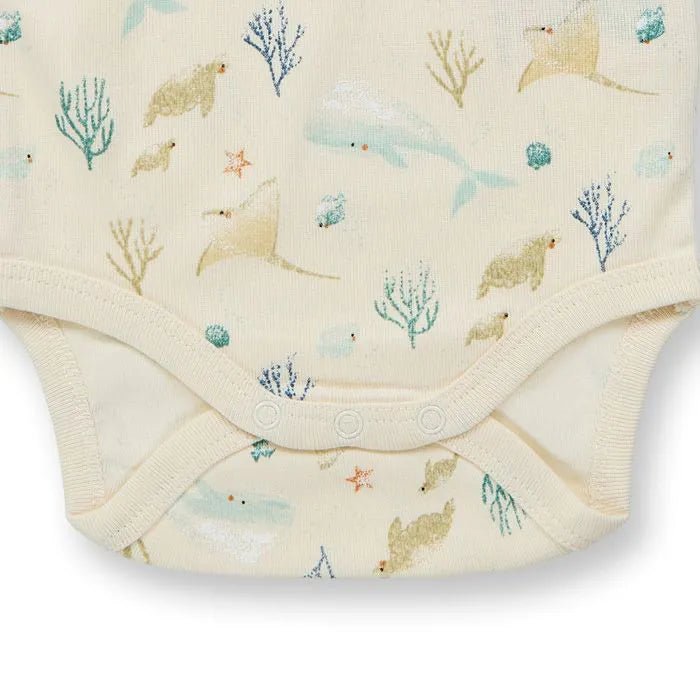 Body VARIN Sealife Eggshell - Olokuti