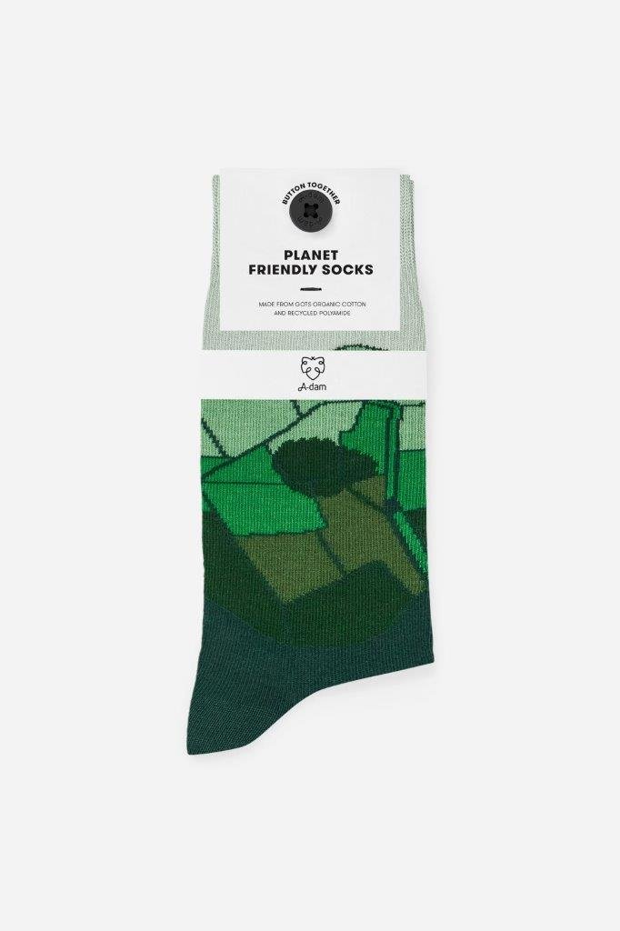 Calcetines Casual Campos Verdes - Olokuti