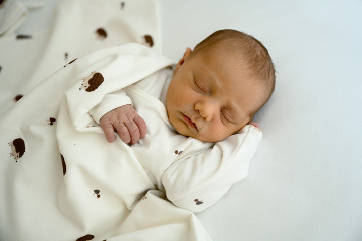 Manta de algodón Erizos - Olokuti