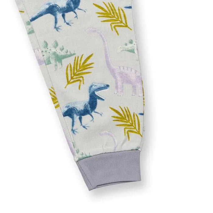 Pijama LONG JOHN Gris claro Dinos - Olokuti