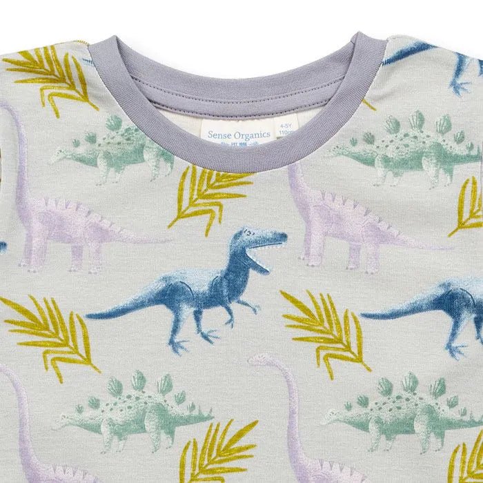 Pijama LONG JOHN Gris claro Dinos - Olokuti