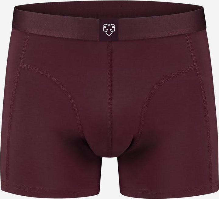 Boxer brief Bruno - Olokuti