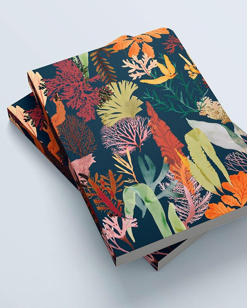 Cuaderno grande Algas - Olokuti