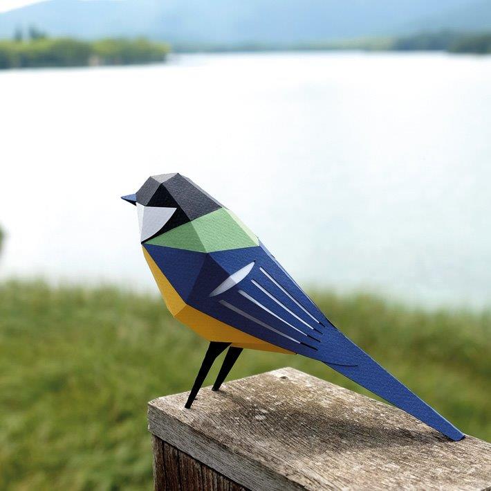 Figura de papel 3D - Carbonero / Parus major - Olokuti