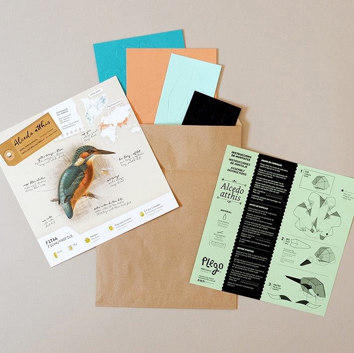 Figura de papel 3D - Martín Pescador / Alcedo atthis - Olokuti