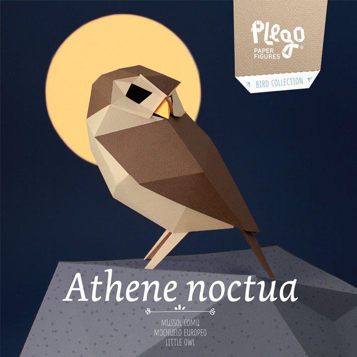 Figura de papel 3D - Mochuelo / Athene noctua - Olokuti