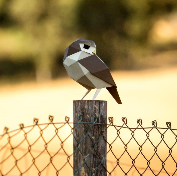 Figura de papel 3D - Mochuelo / Athene noctua - Olokuti