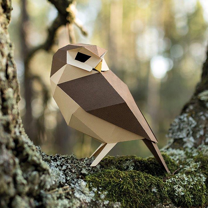 Figura de papel 3D - Mochuelo / Athene noctua - Olokuti