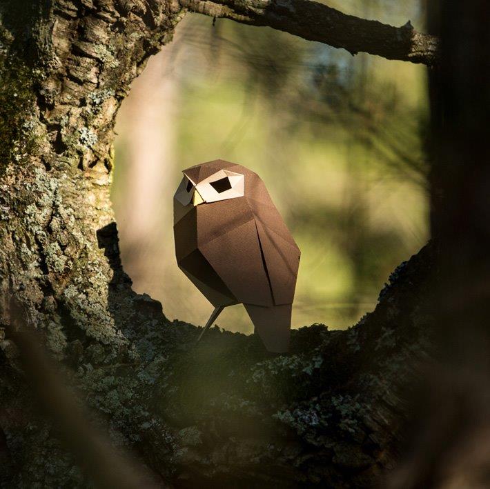 Figura de papel 3D - Mochuelo / Athene noctua - Olokuti