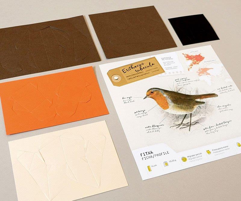 Figura de papel 3D - Petirrojo / Erithacus rubecula - Olokuti