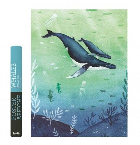 Poster Whales - Olokuti