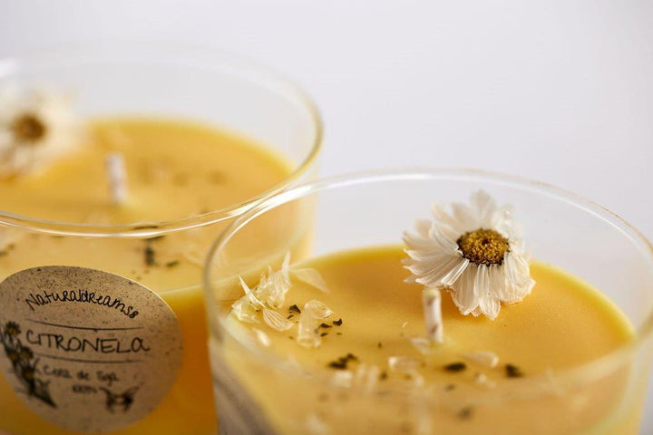 Vela aromática Cera de Soja 1 mecha - Olokuti