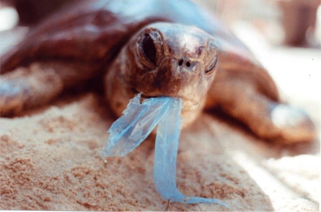 Activistas por un consumo responsable de plásticos - Olokuti