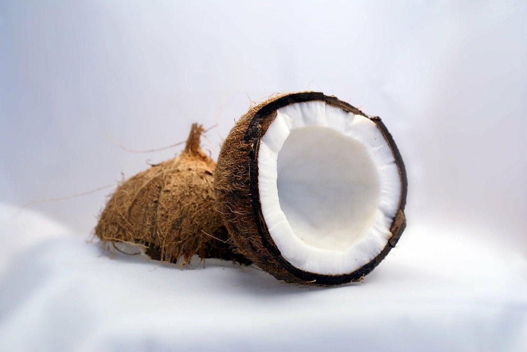 Beneficios de la leche de coco, y cómo prepararla en casa - Olokuti