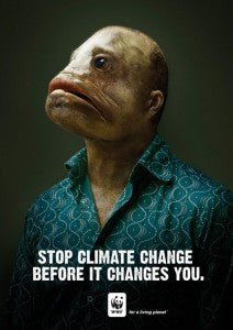 Campañas publicitarias por el medio ambiente - Olokuti