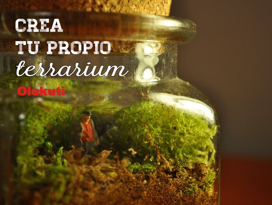 Haz tu propio terrarium en casa - DIY! - Olokuti