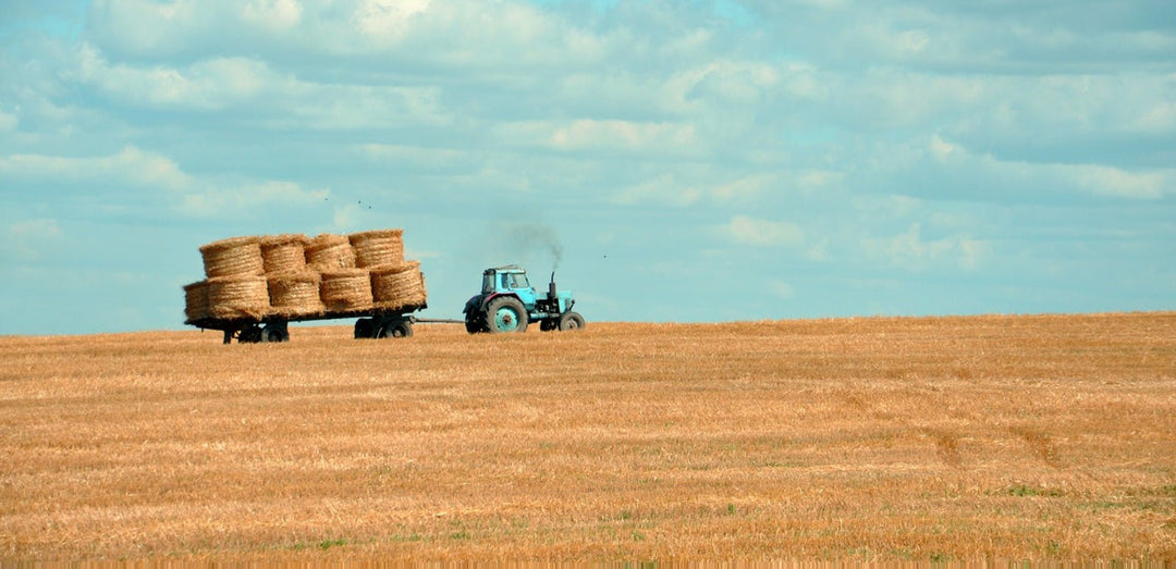 Qué es mejor para el mundo: ¿granjas locales o grandes empresas agrícolas? - Olokuti