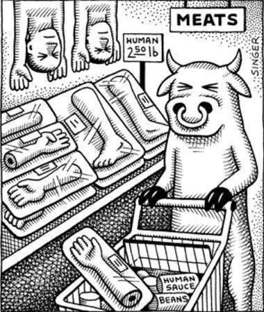 Veganismo, una tendencia sostenible - Olokuti