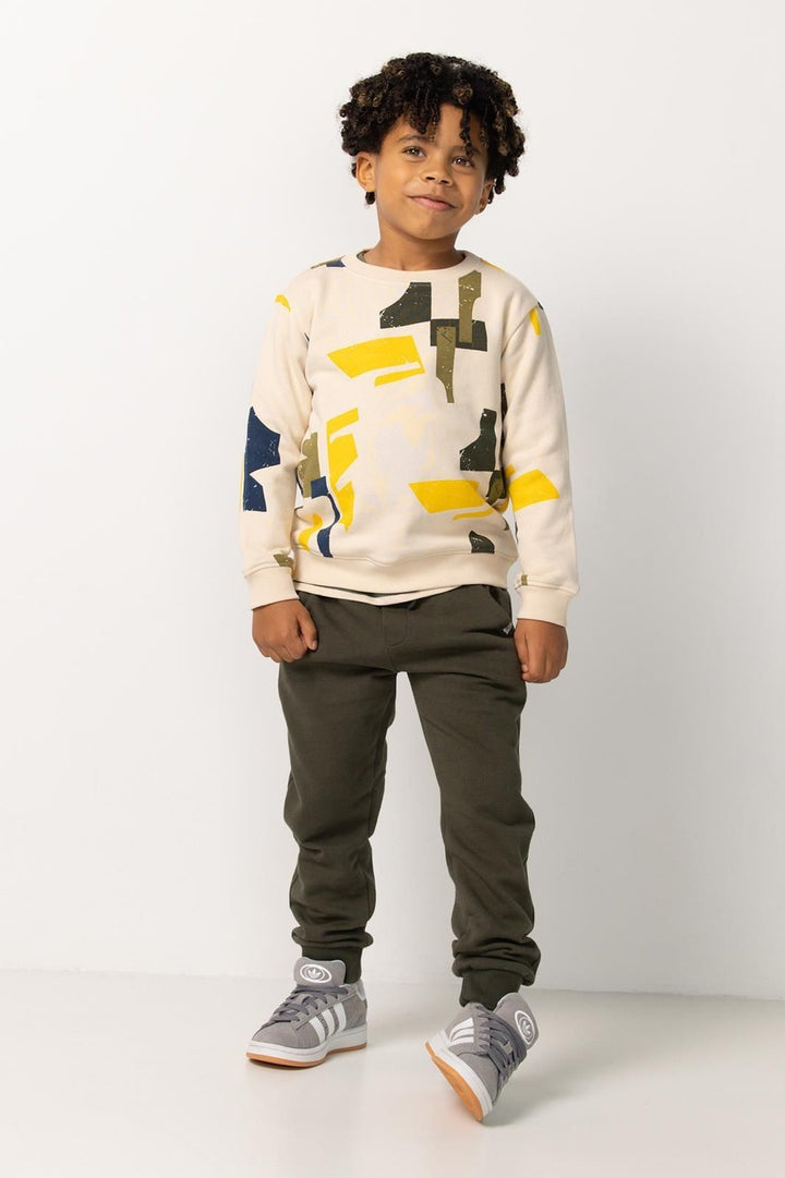 Sudadera Roseland Abstract Pattern Pink