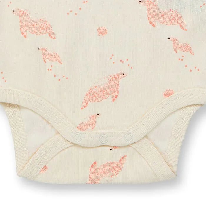 Body VARIN Tortugas Eggshell - Olokuti