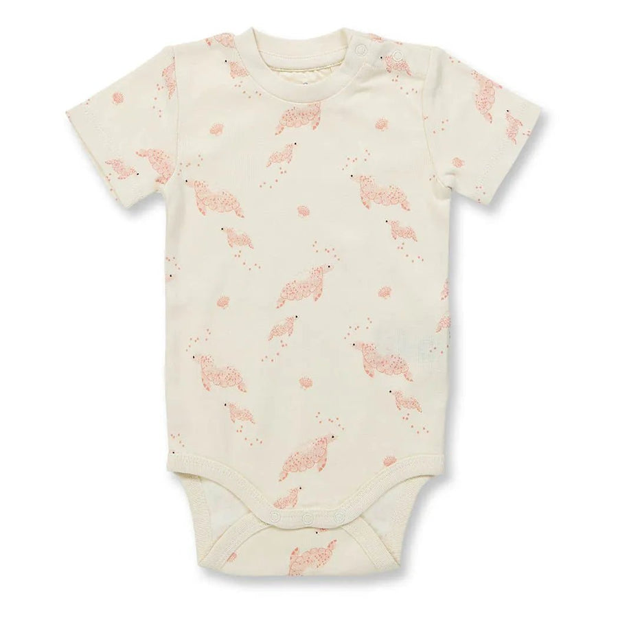 Body VARIN Tortugas Eggshell - Olokuti