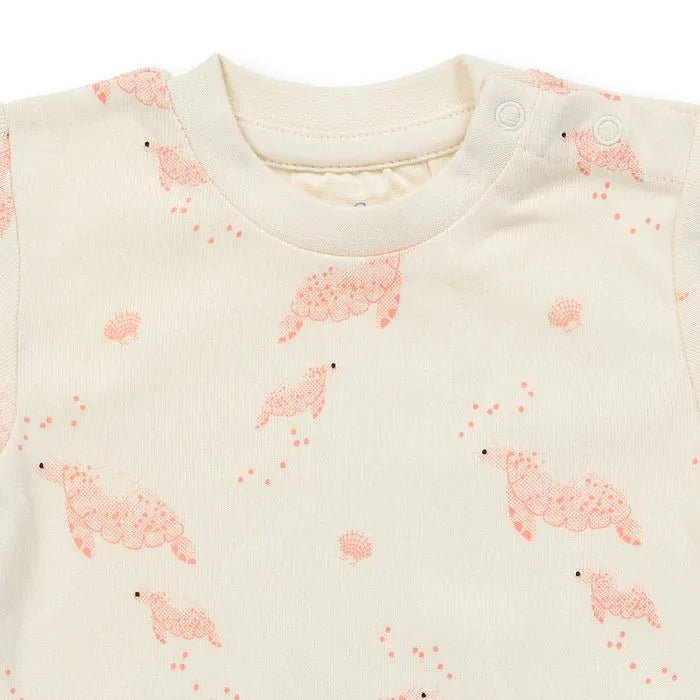 Body VARIN Tortugas Eggshell - Olokuti
