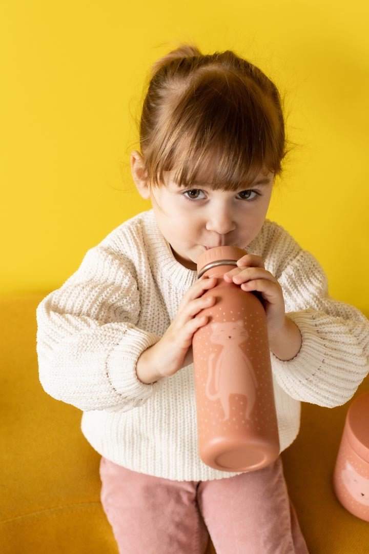 Botella acero Animal 500 ml. - Olokuti