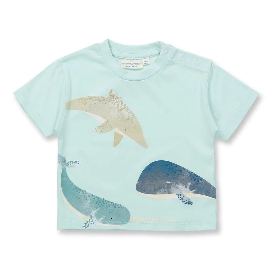 Camiseta Bebé ANTON Ballenas Ice green - Olokuti
