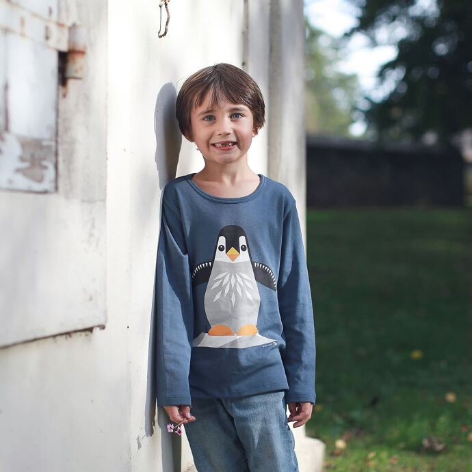 Camiseta m/l Gris - azul Pingüino - Olokuti