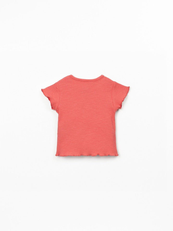 Camiseta Rib Flamé Stitch - Olokuti