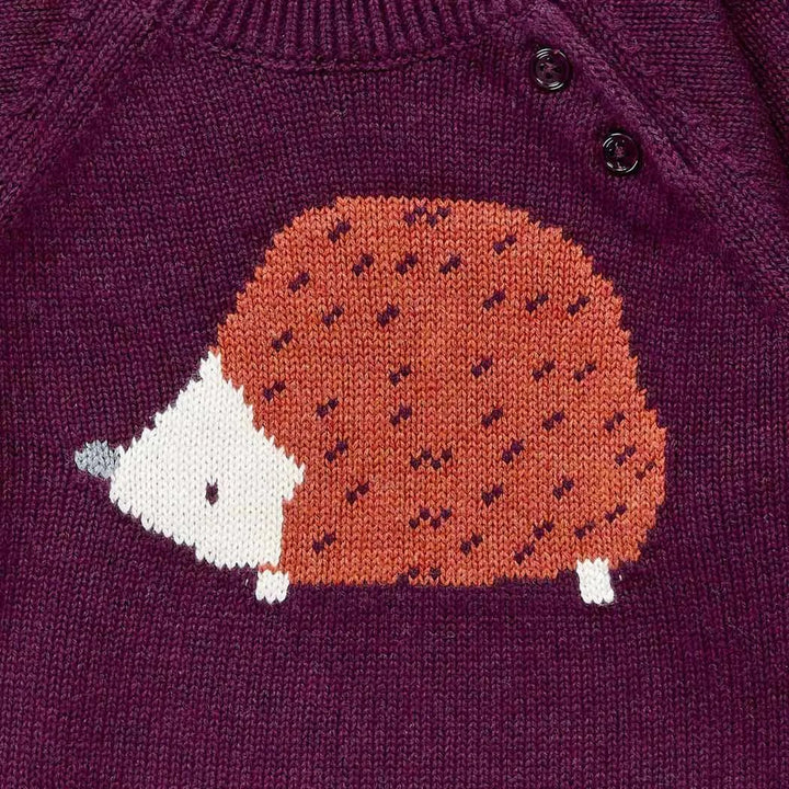 Jersey bebé Punto NAVIN Burdeos Erizo - Olokuti
