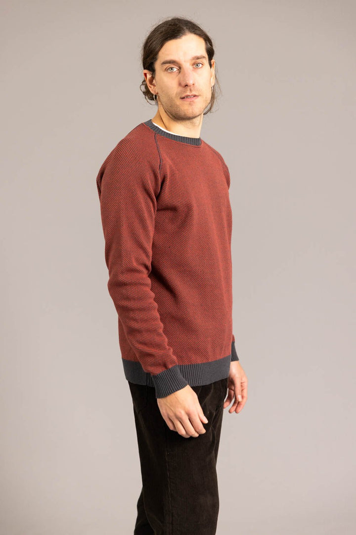 Jersey PICORNELL Teja - Olokuti