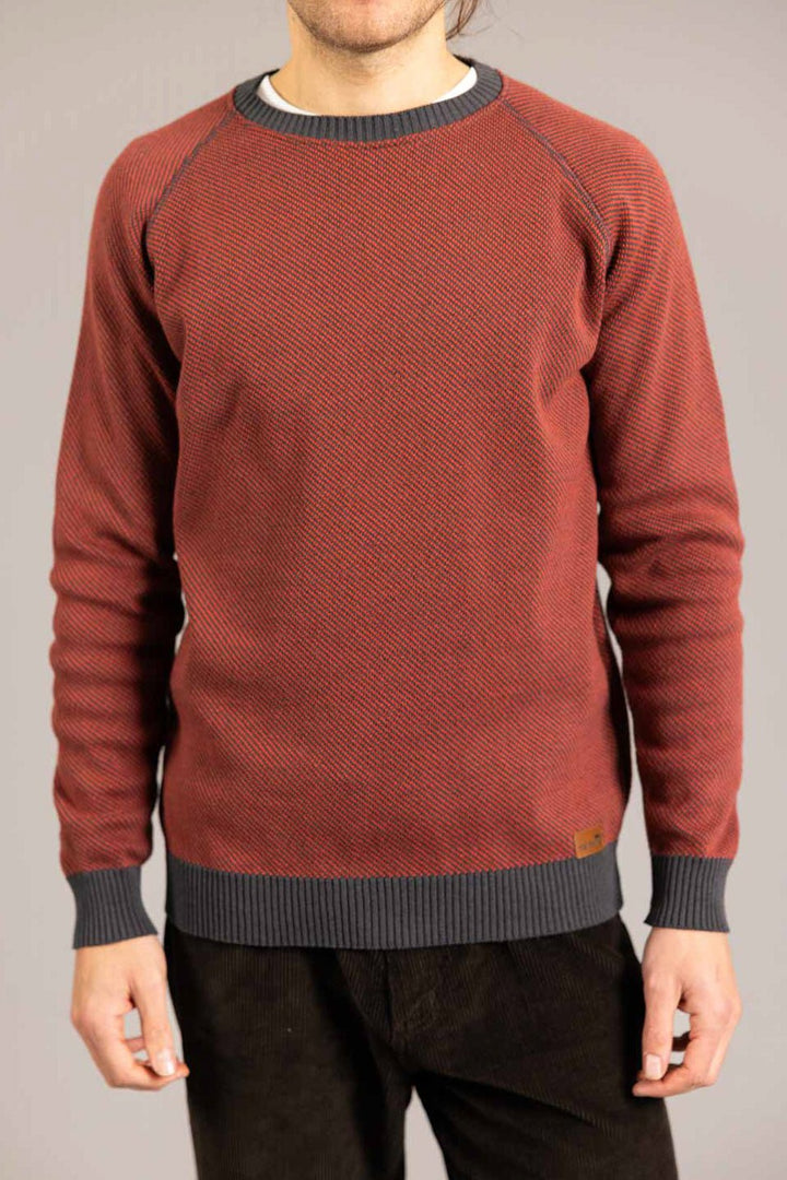 Jersey PICORNELL Teja - Olokuti