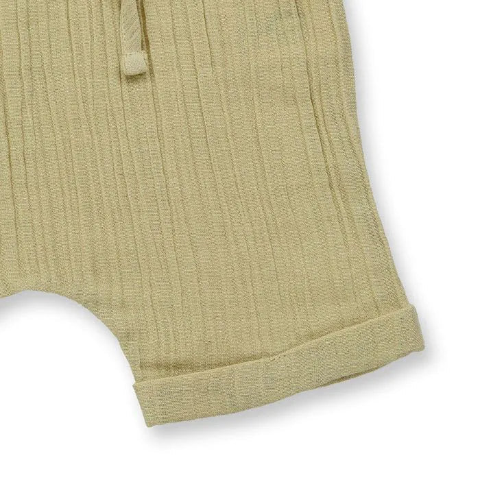 Pantalones cortos CHARLIE Light Reed - Olokuti