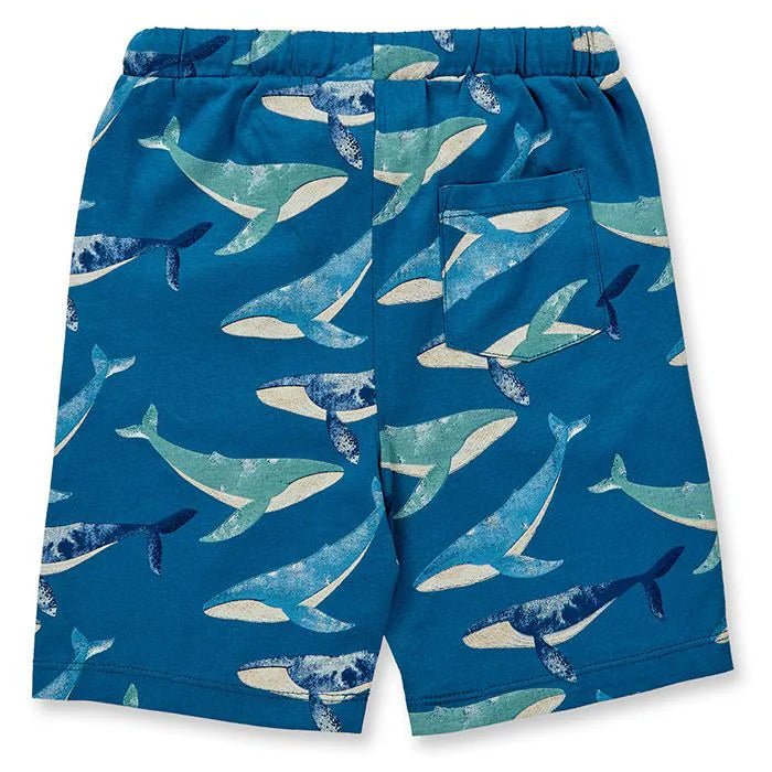 Pantalones cortos KHAN Ballenas Ocean blue - Olokuti