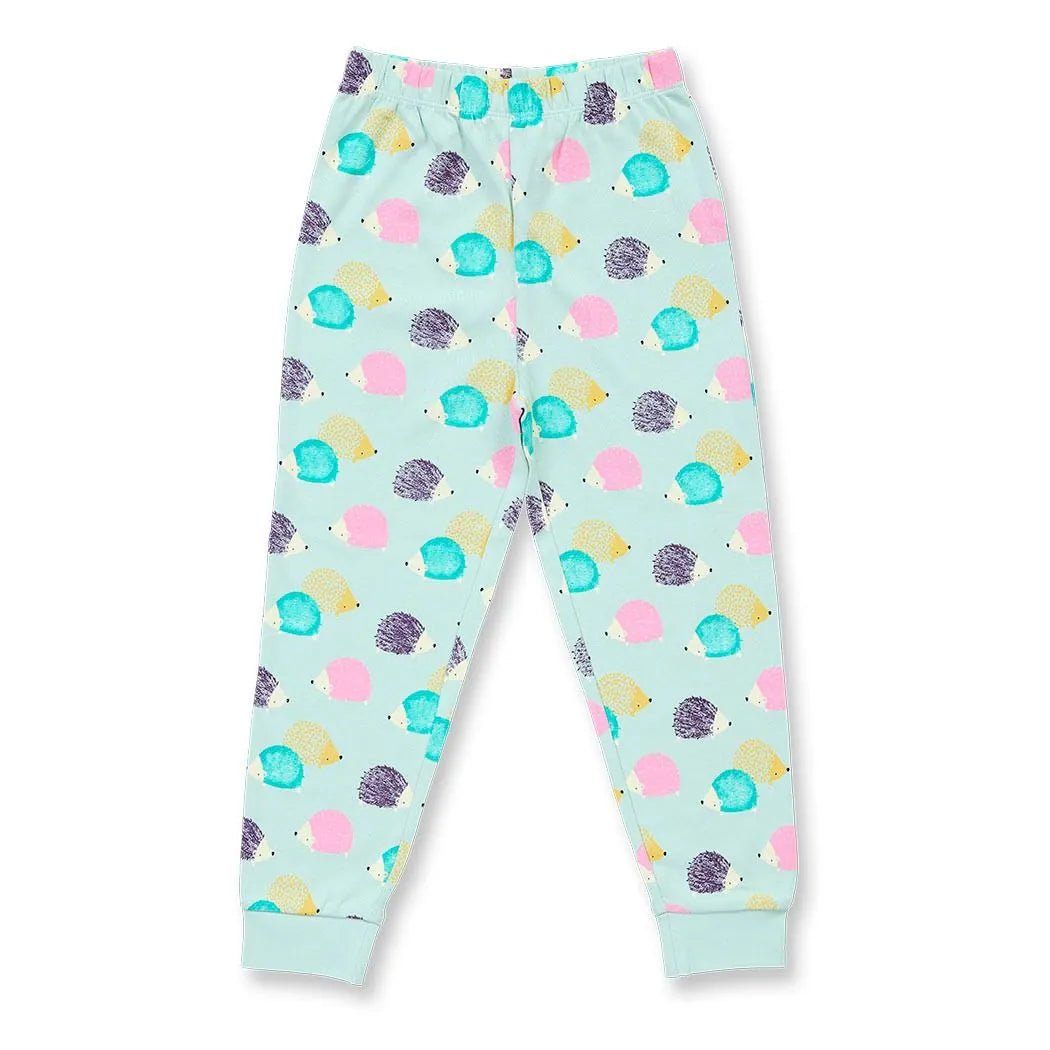 Pijama LONG JOHN Hedgehogs Icy Mint - Olokuti