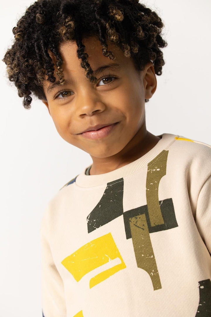 Sudadera Roseland Abstract Pattern Pink - Olokuti