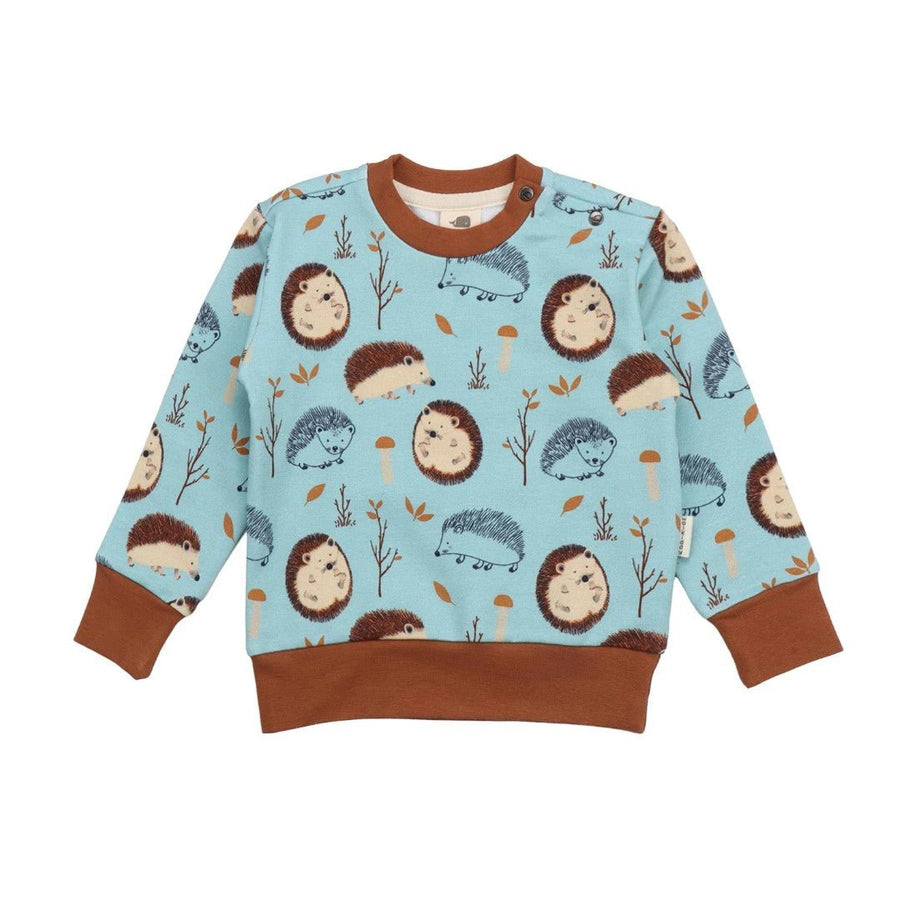 Sudadera Tiny Hedgehogs - Olokuti