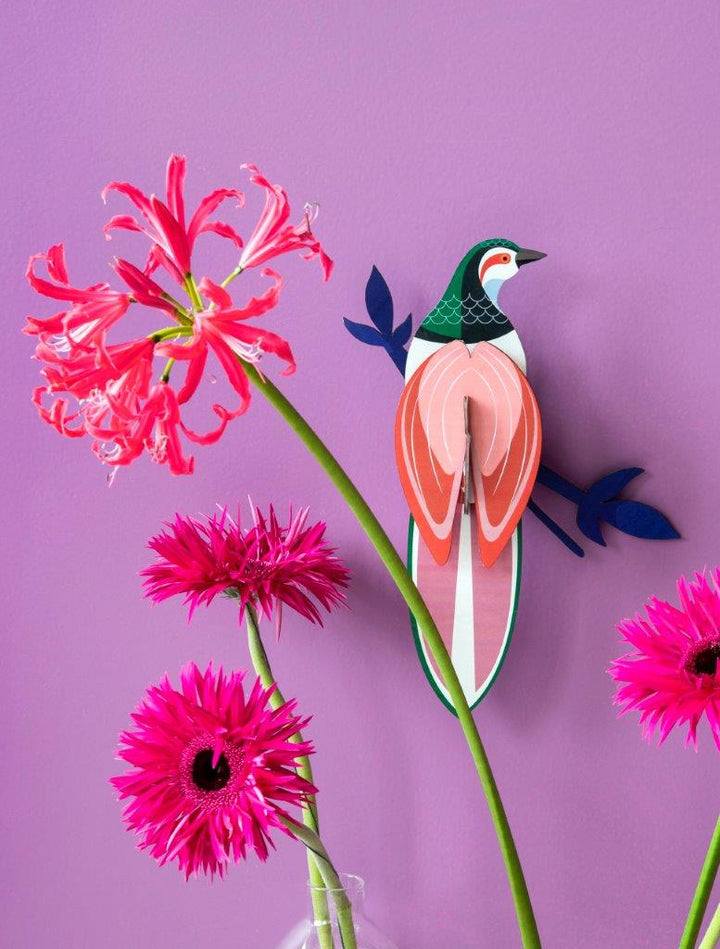 Ave del Paraíso Pájaros Arte Floral - Olokuti